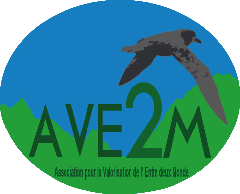 Logo AVE2M