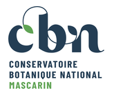 Logo CBN